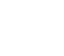 White Stallion Transit White Logo